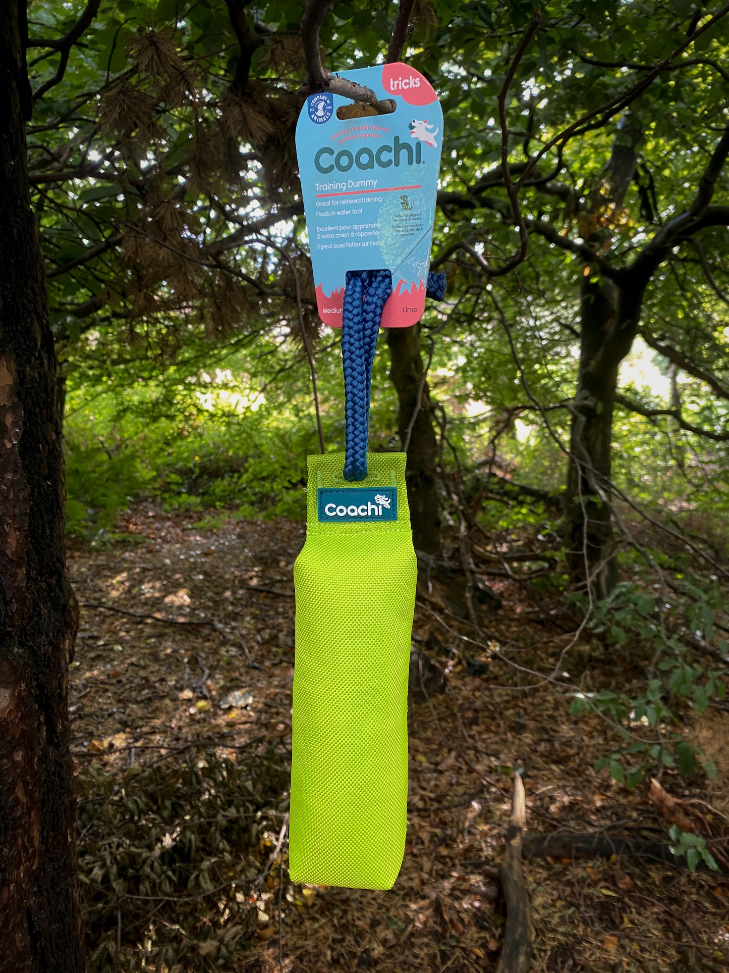 Coachi Training Dummies