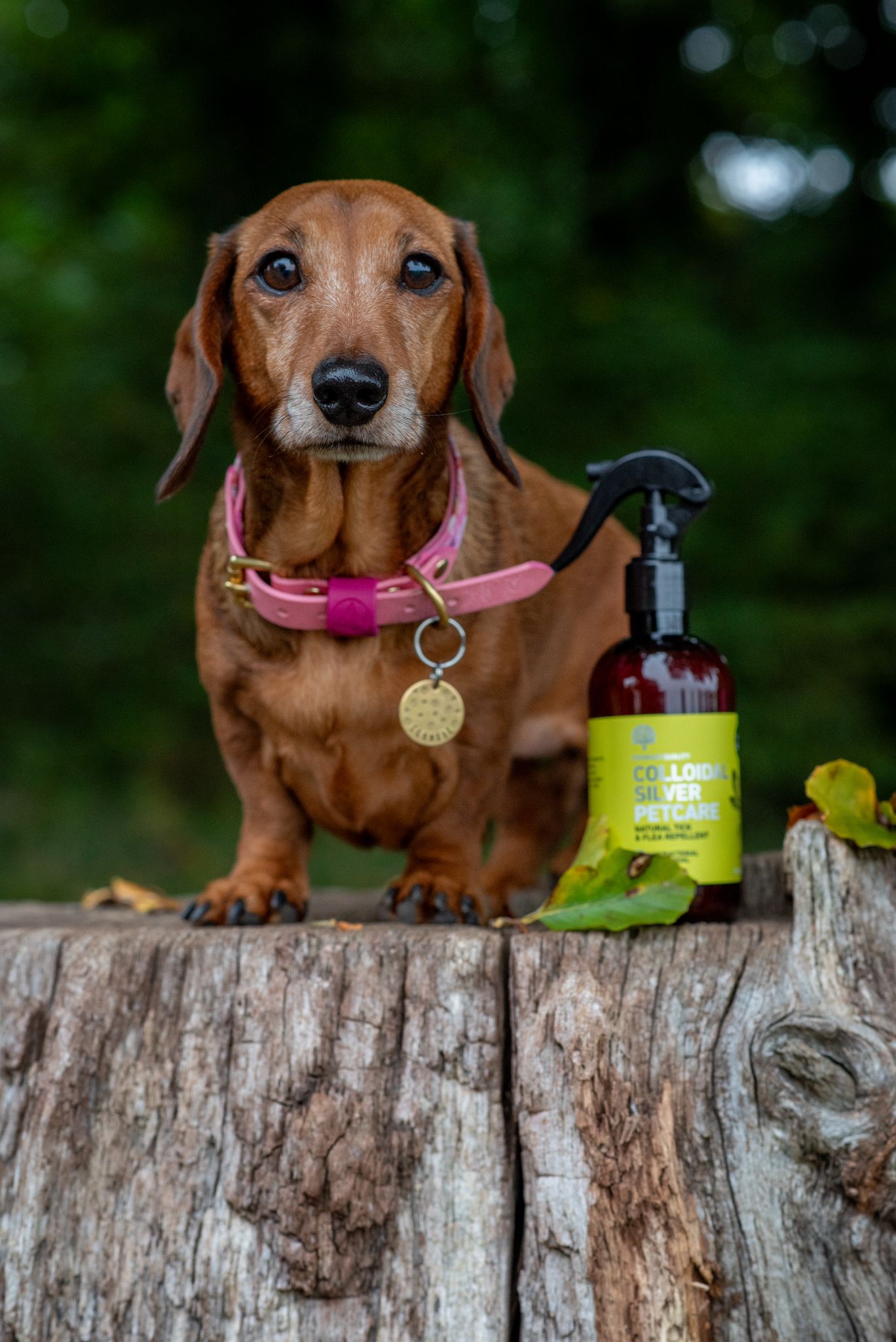 Nature's Greatest Secret - Colloidal Silver Spray