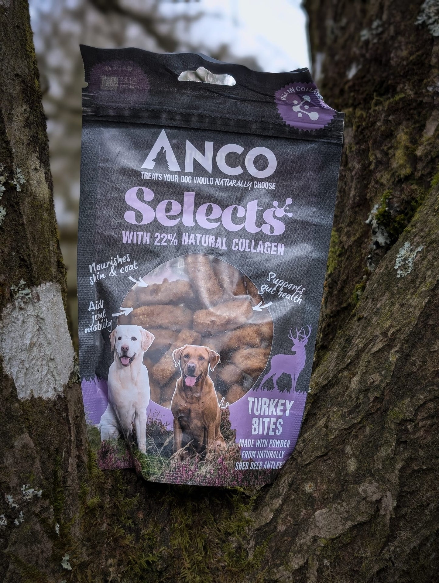 Anco Selects