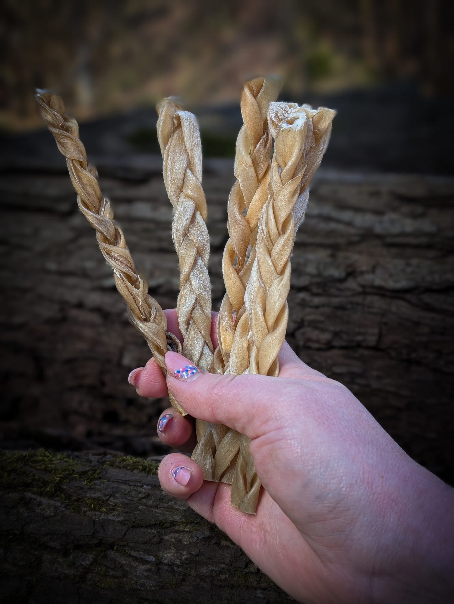 JR Pet Products - Braided Lamb