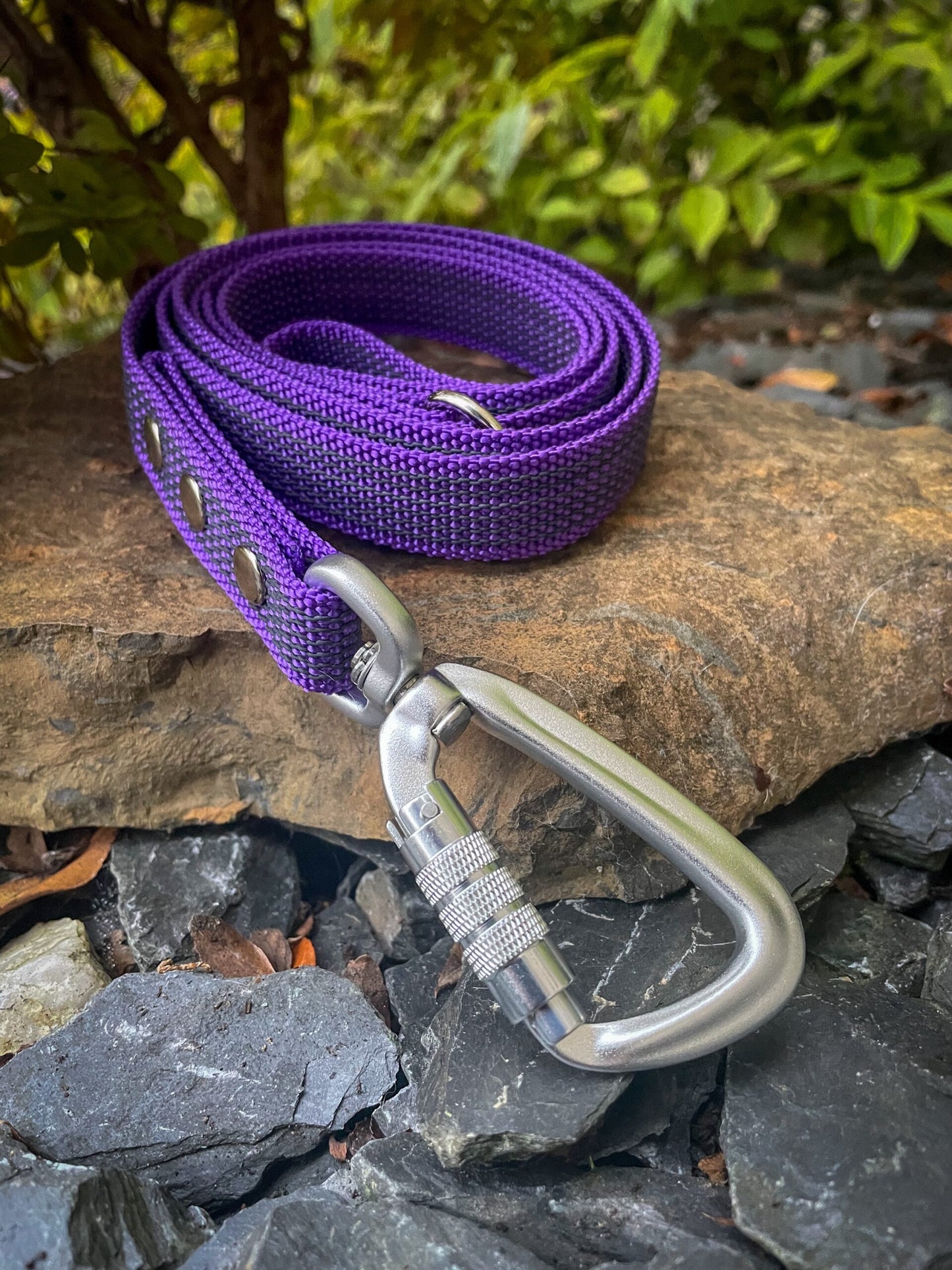 Carabiner Clip image 3