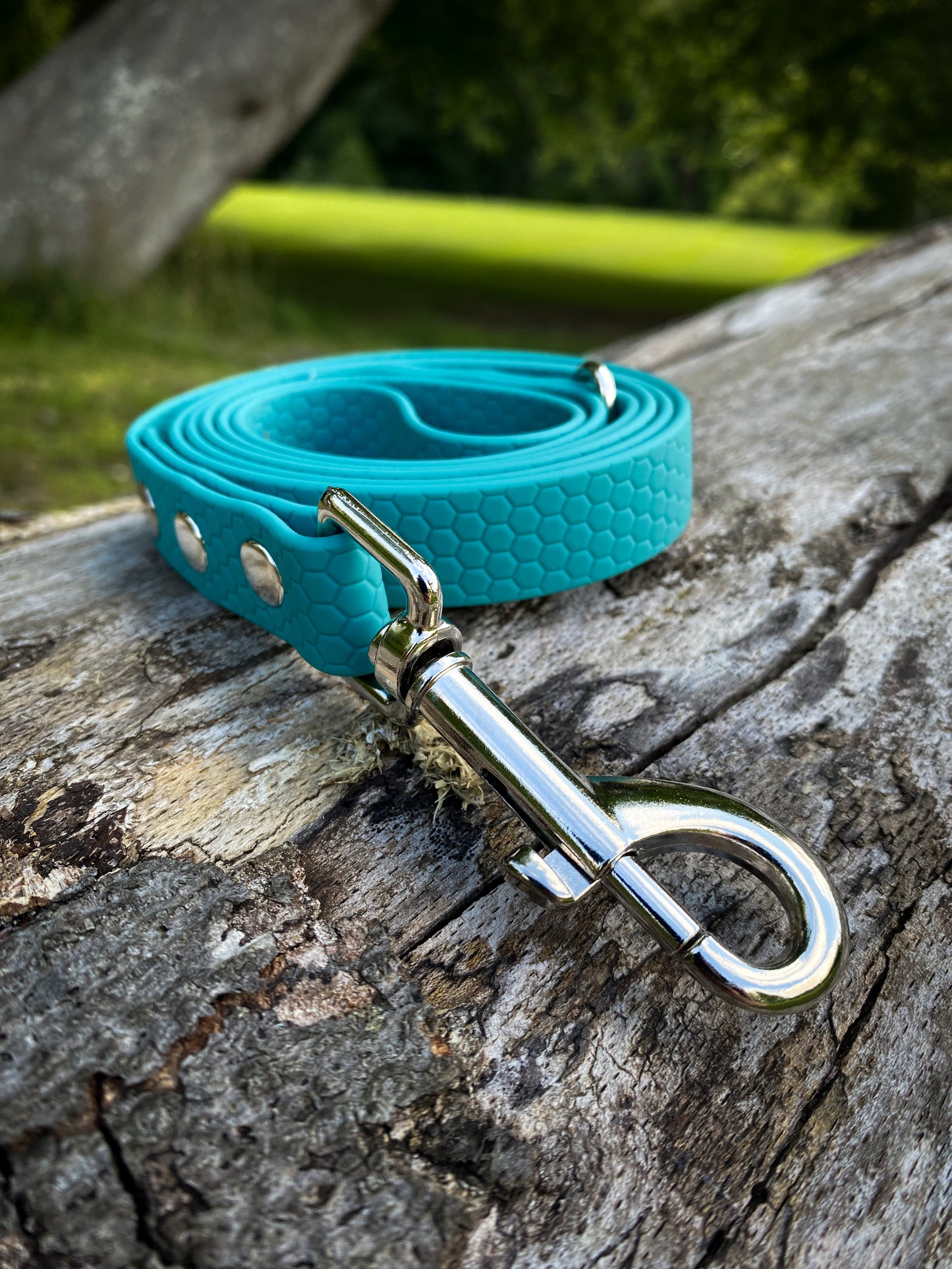 Hexa Webbing Buckle Collars
