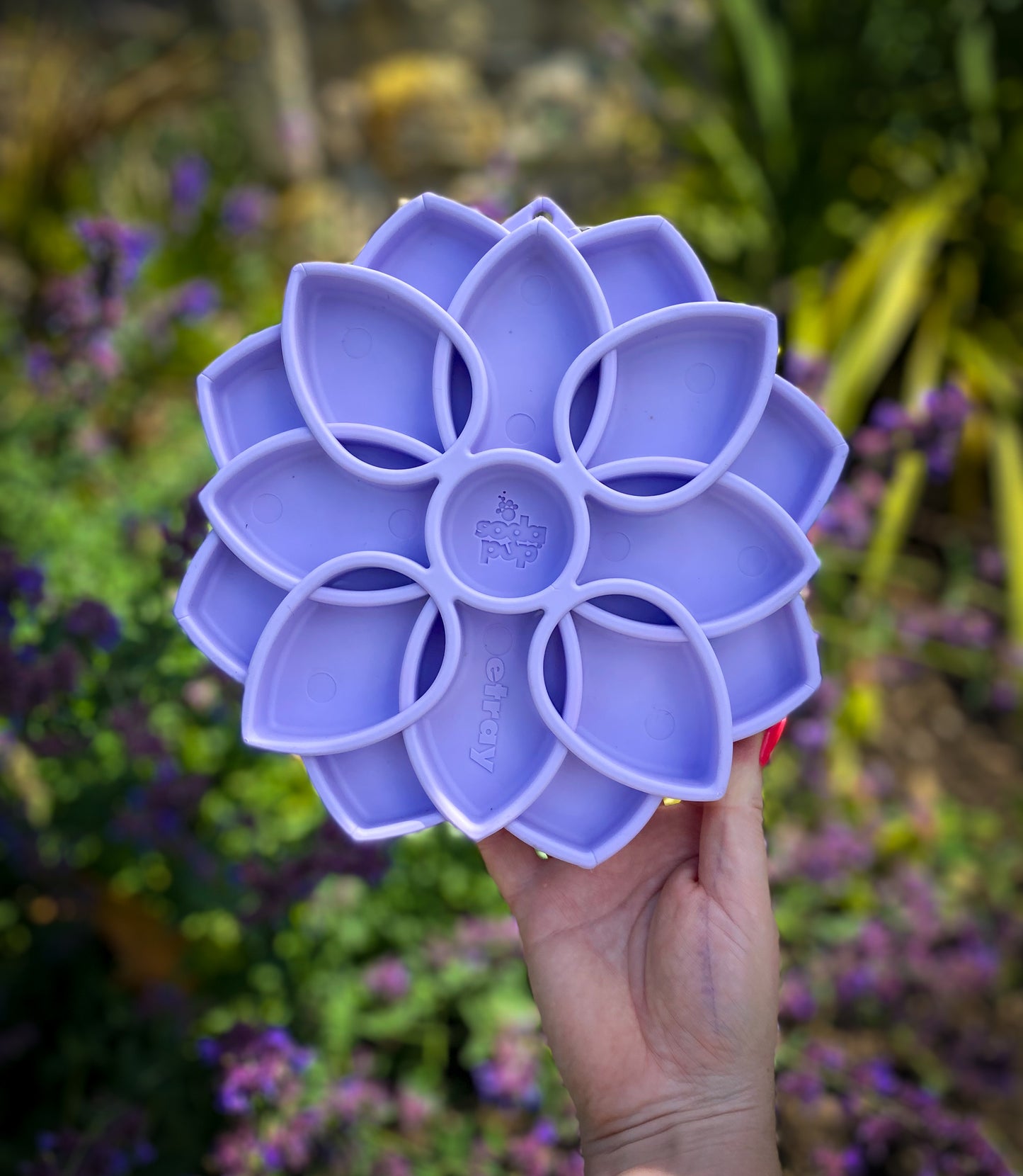 SodaPup Mandala Softie