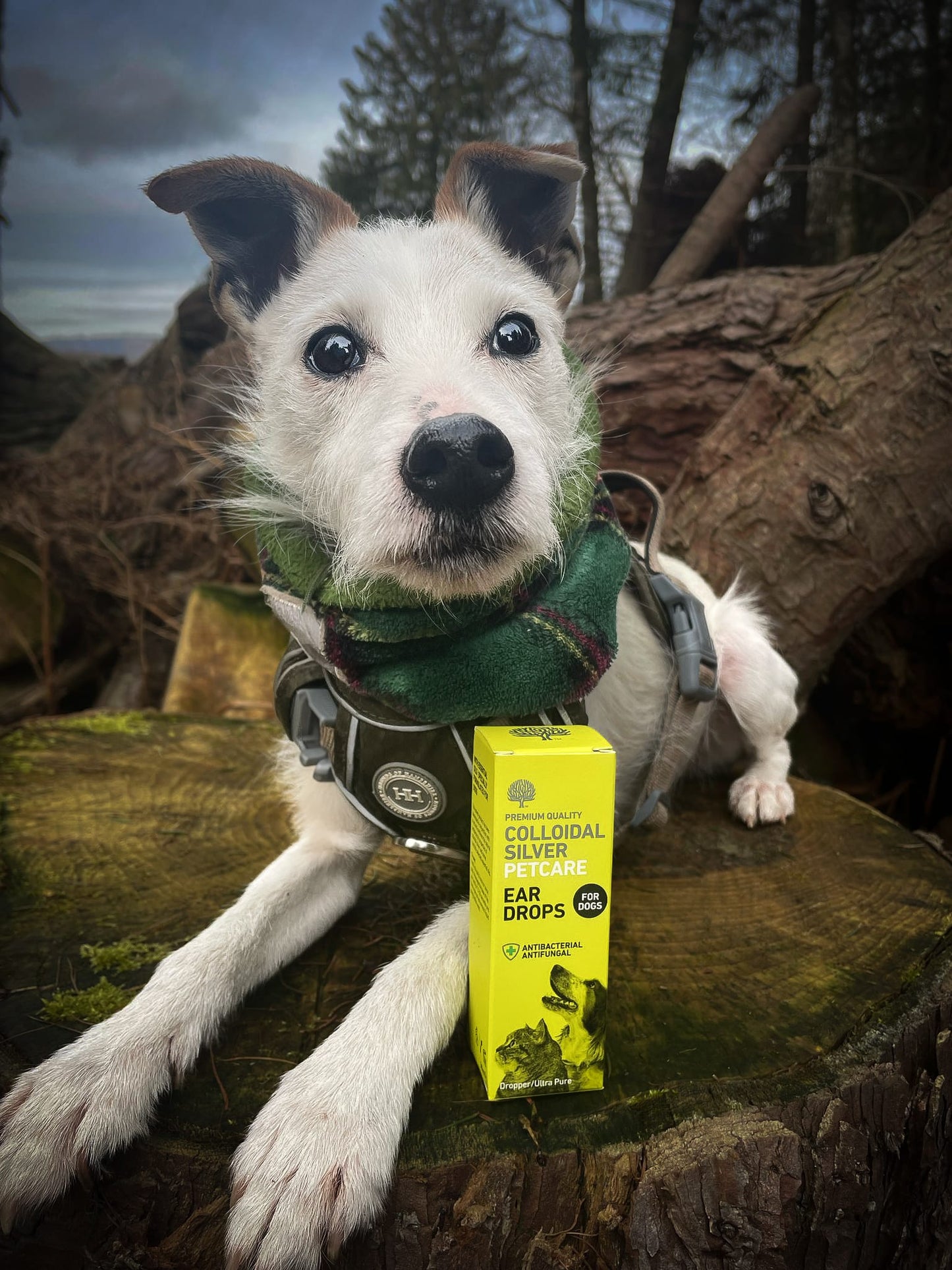 Nature's Greatest Secret - Colloidal Silver Ear Drops