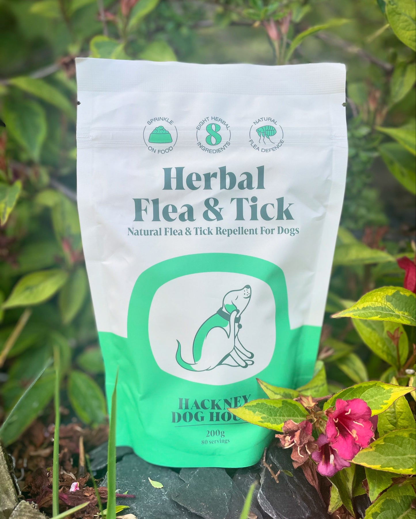Hackney Dog House - Herbal Flea & Tick Powder