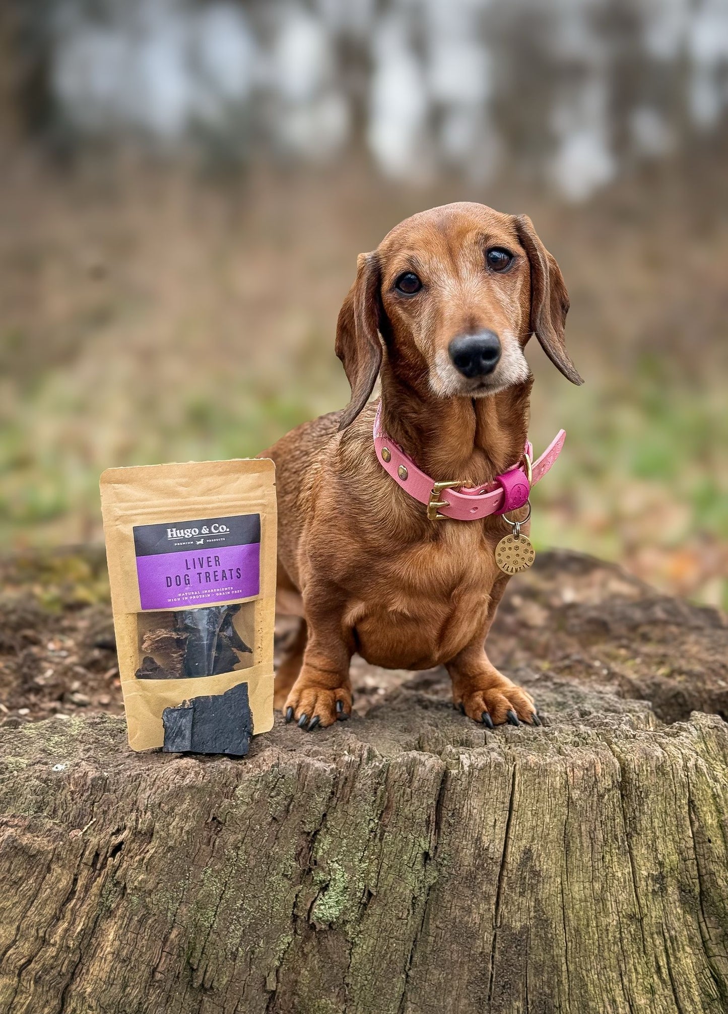 Hugo and Co. Treats