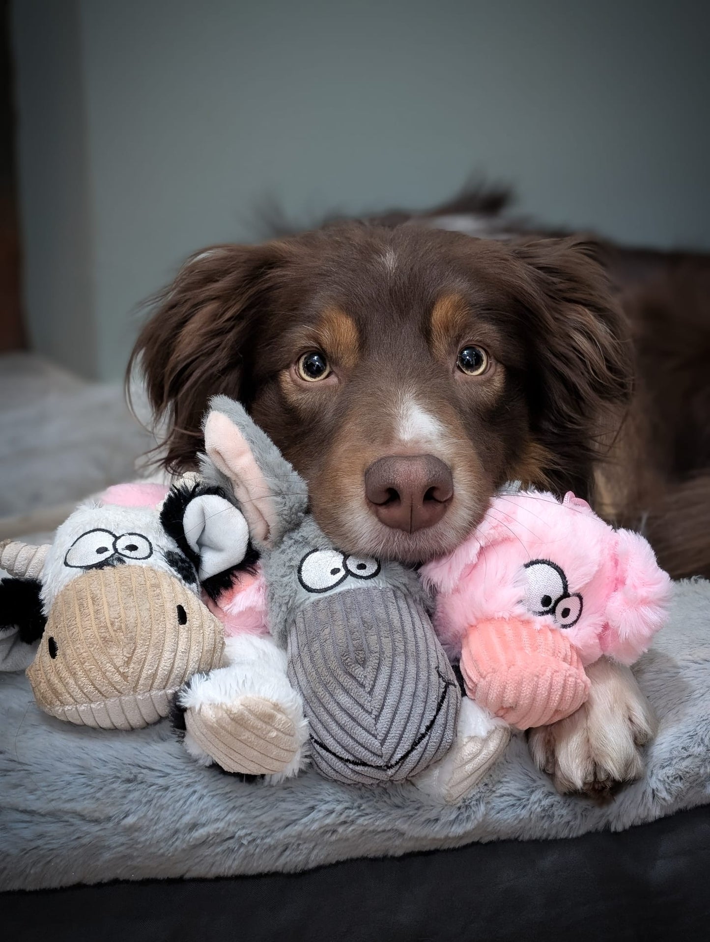 Barnyard Squeaky Toy