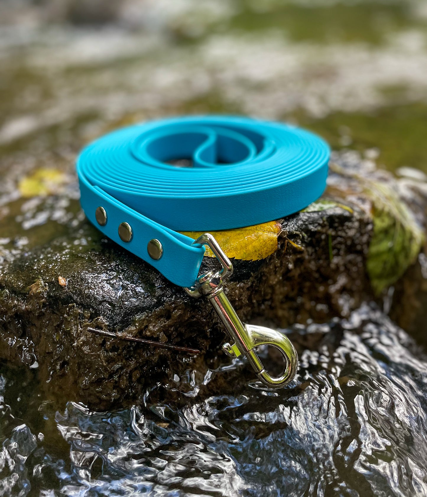 BioThane® Training Lines (19mm)
