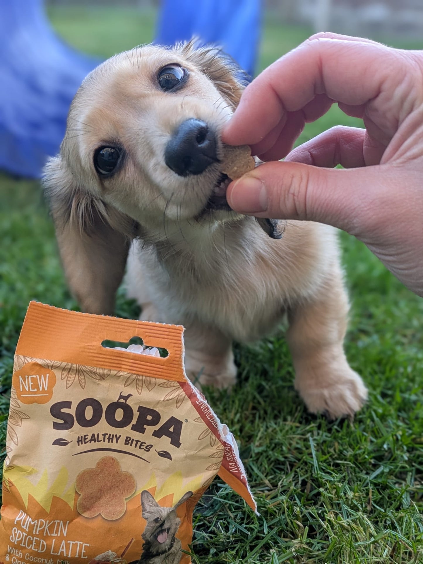 Soopa Dog Treats