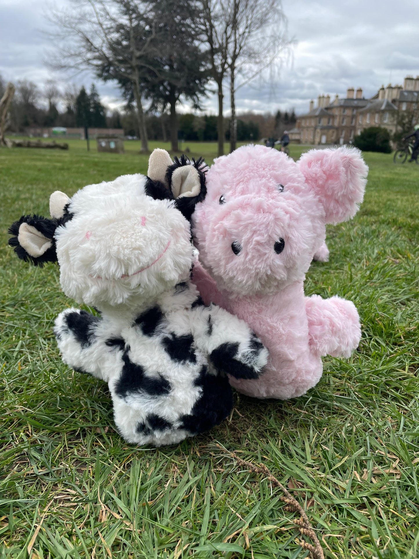 Suuuuper Long Tug Toy