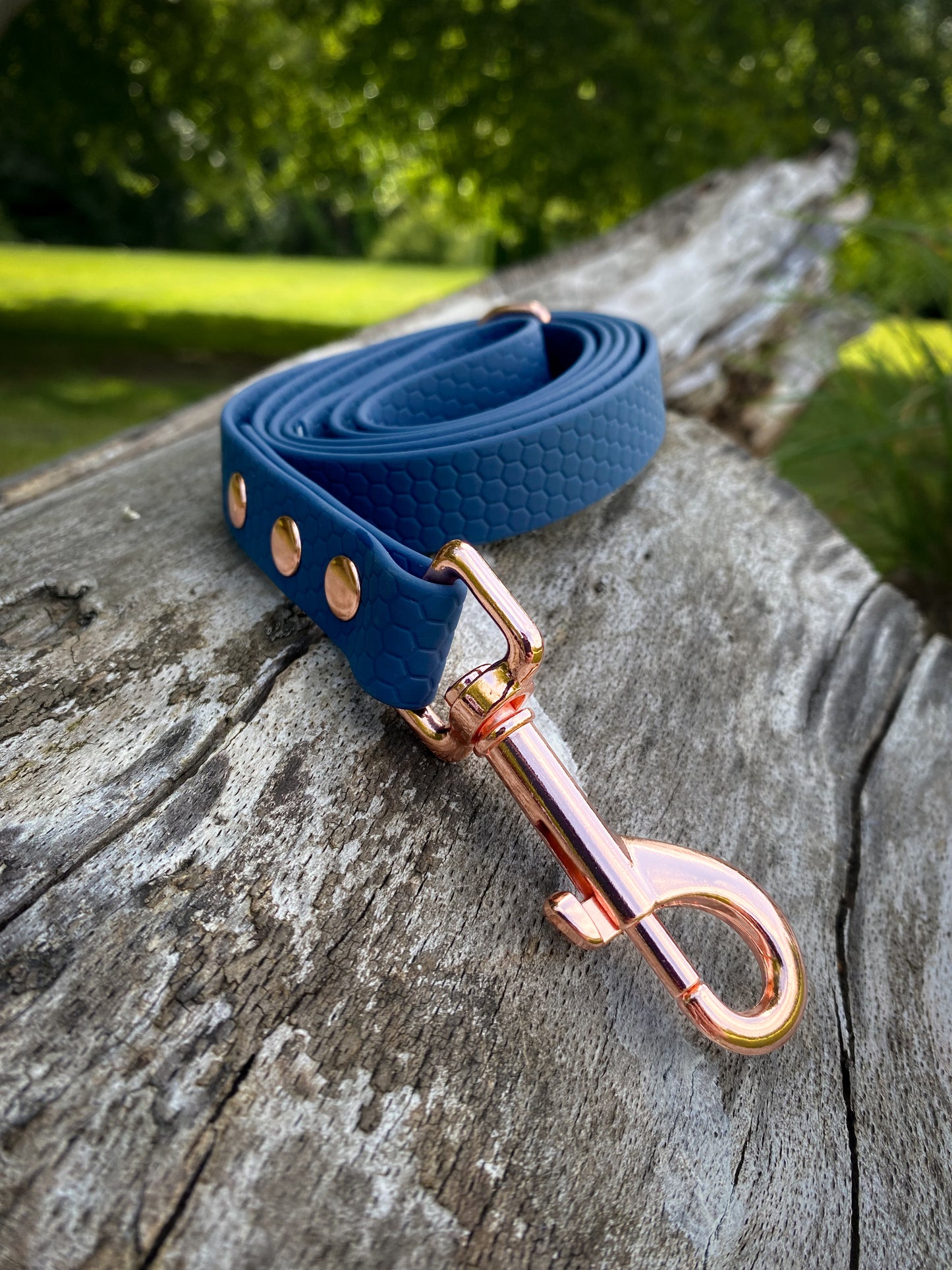 Hexa Webbing Buckle Collars