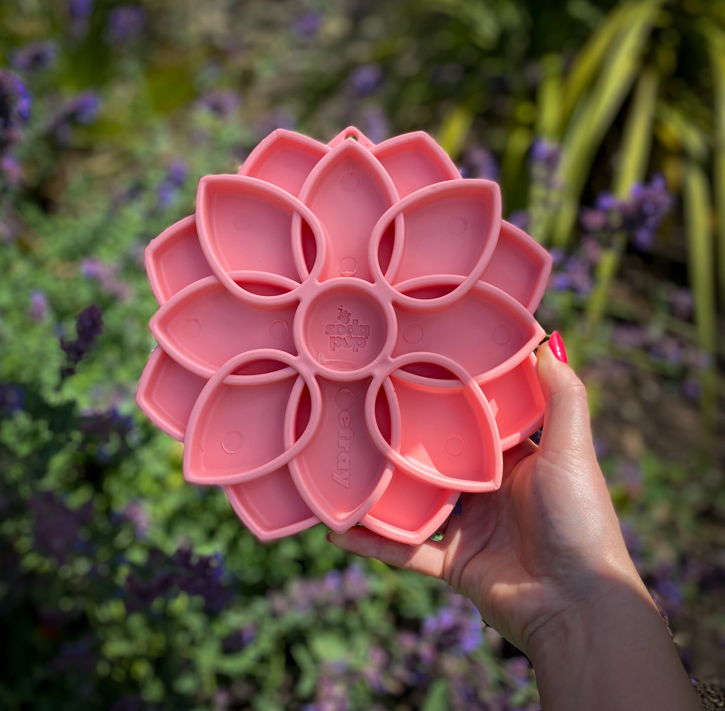 SodaPup Mandala Softie