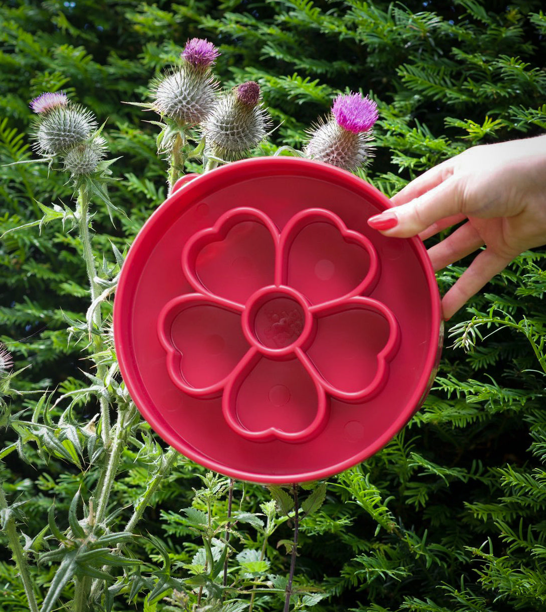 SodaPup Flower Slow Feeder Bowls