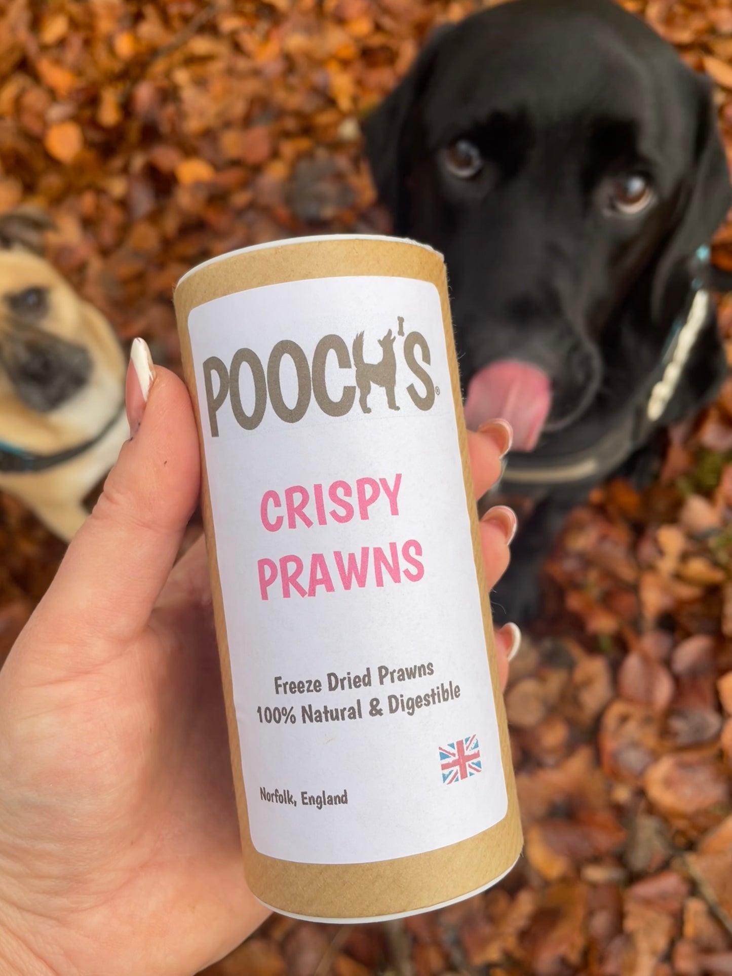 Pooch's Crispy Prawns