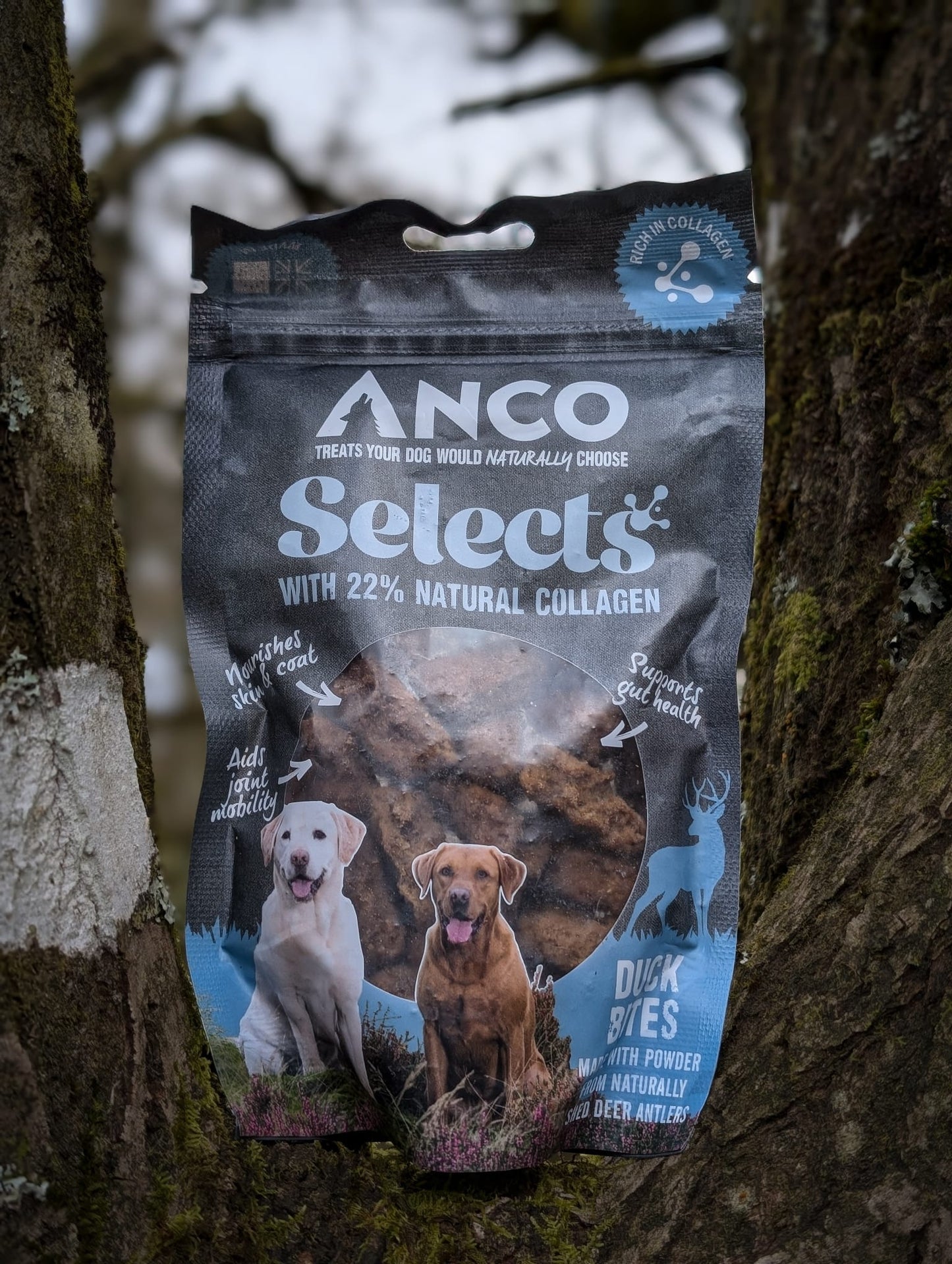 Anco Selects