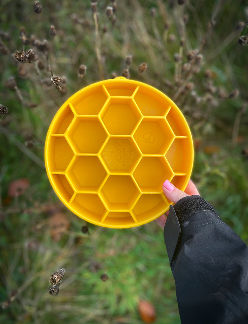 SodaPup Honeycomb Slow Feeder Bowls