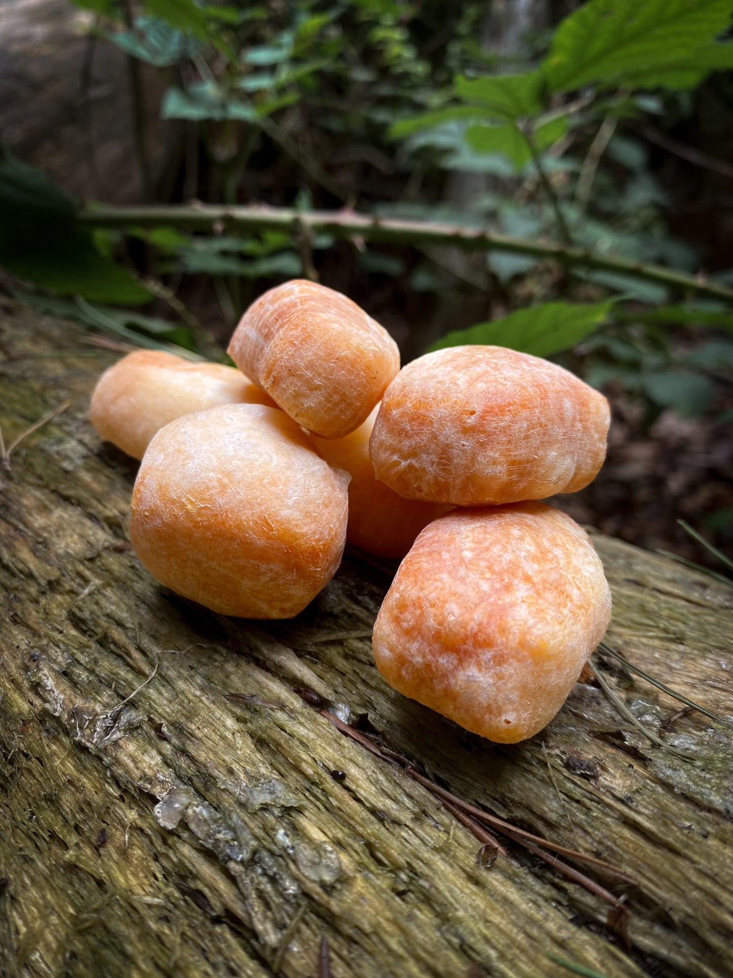 Yak Puffs