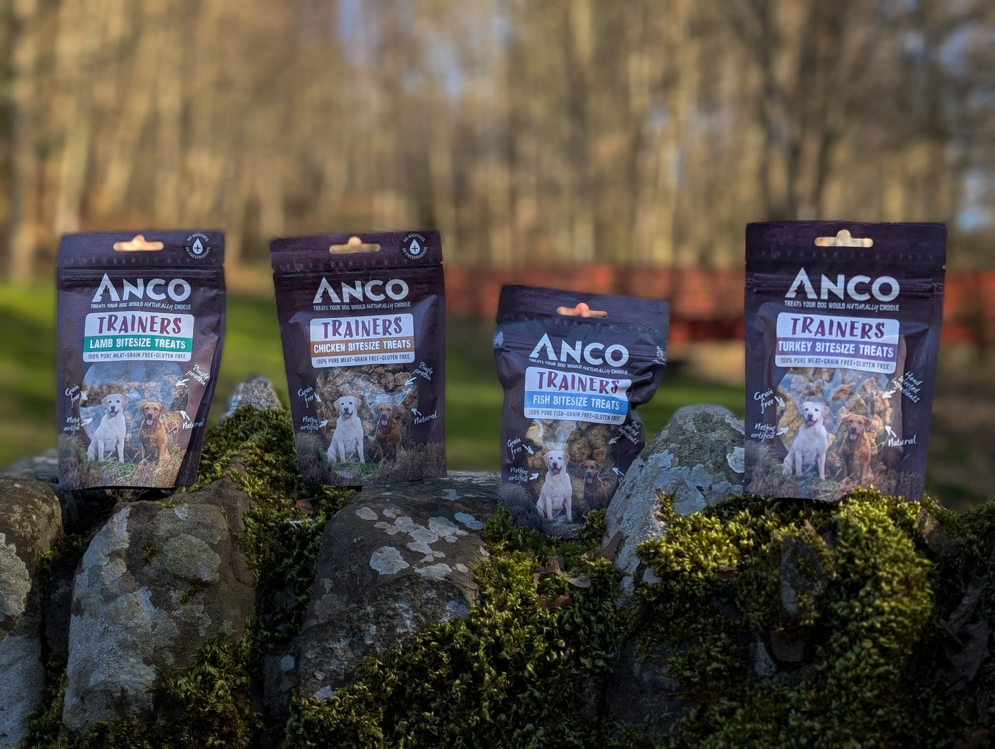 Anco Training Treats