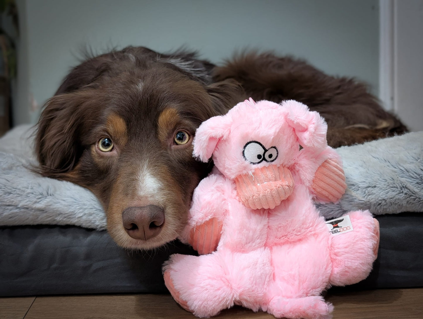 Barnyard Squeaky Toy