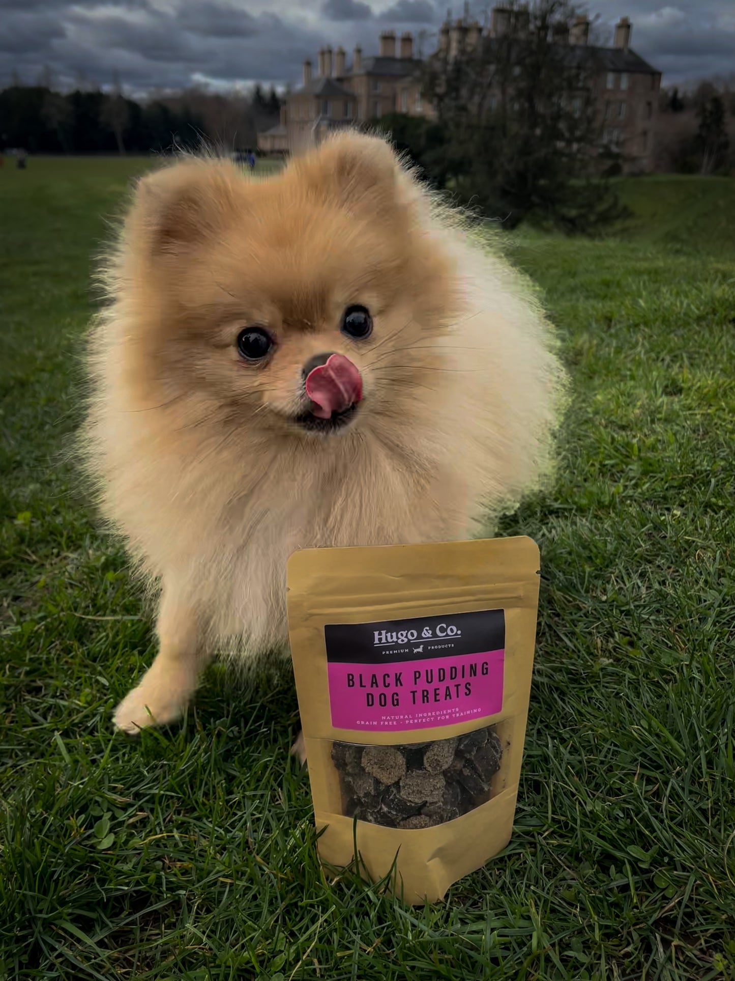 Hugo and Co. Treats