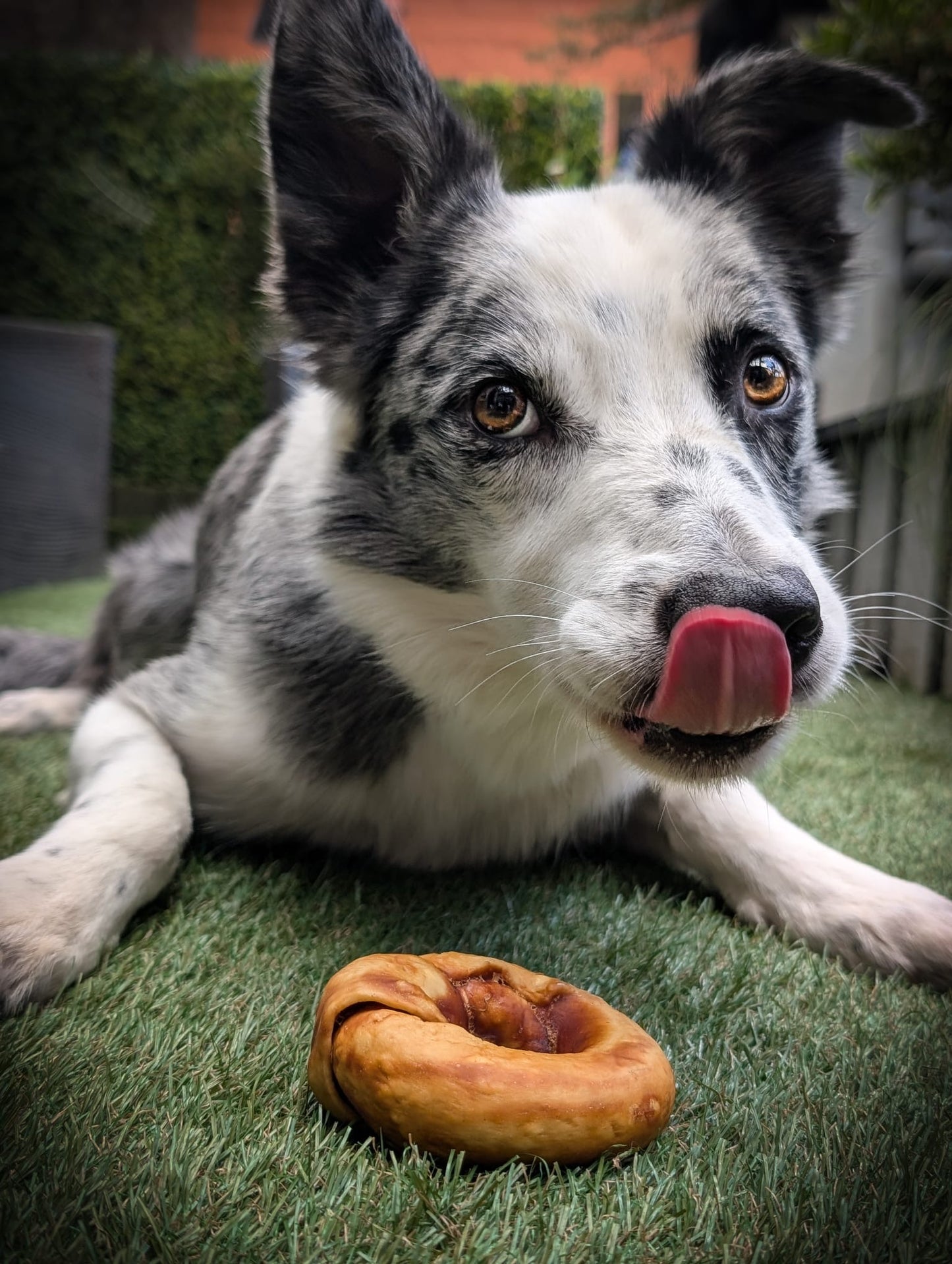 Chewllagen Donuts