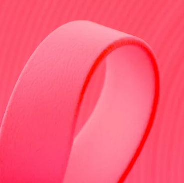 BioThane® Buckle Collars (19mm)