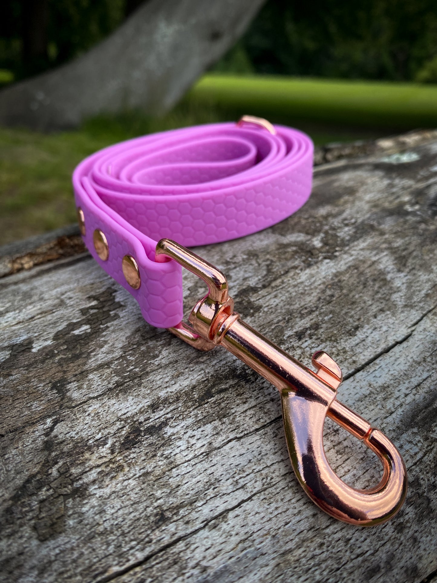 Hexa Webbing Buckle Collars