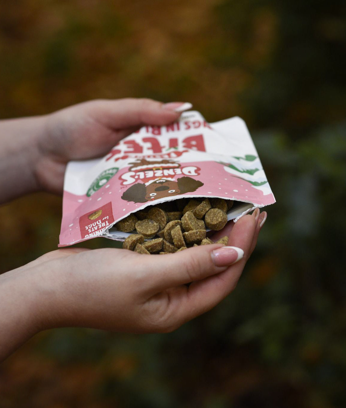 Denzel's Festive Bites