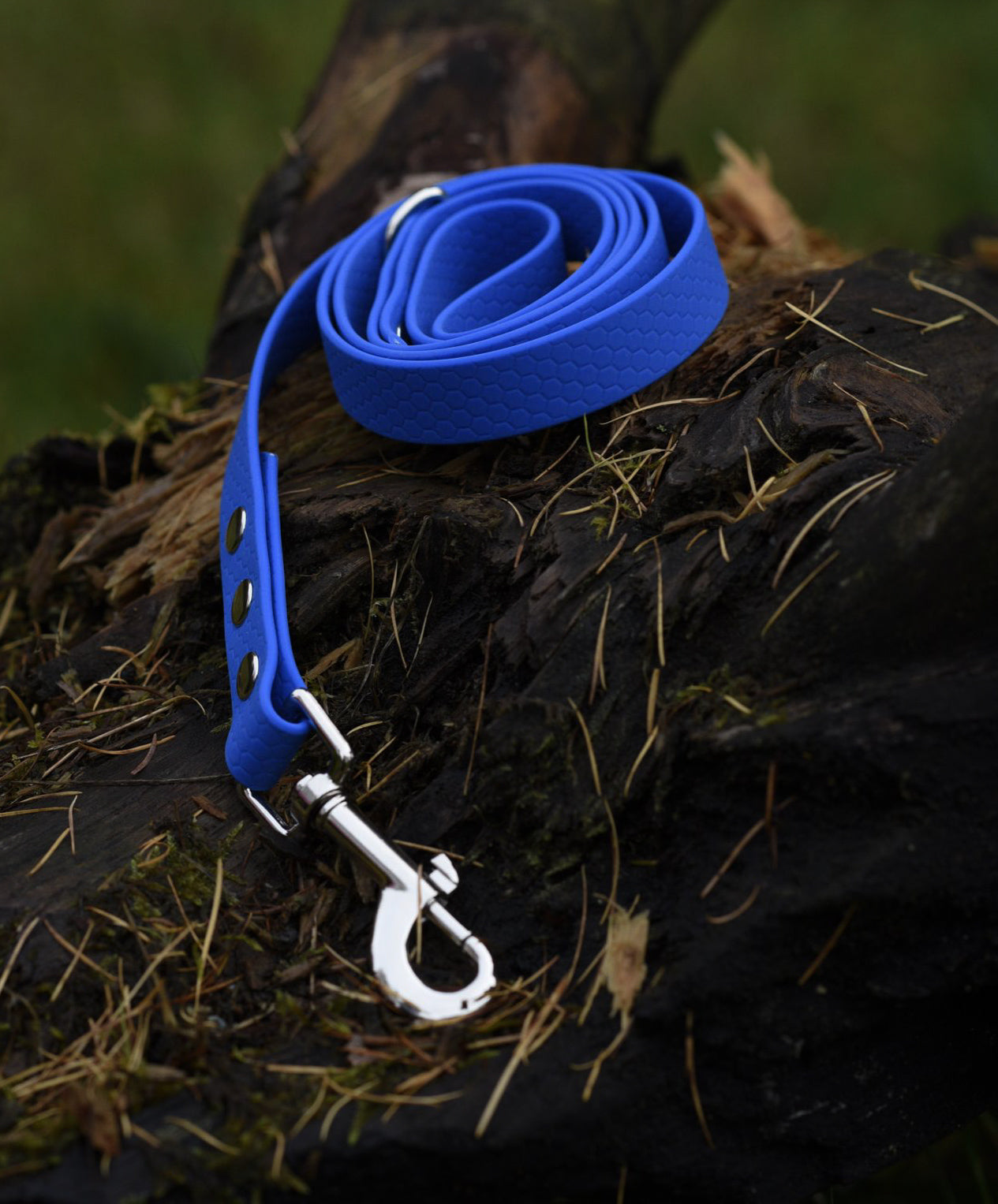 Hexa Webbing Leads