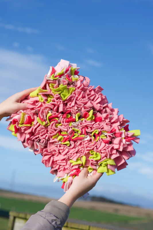 Snuffle Mats