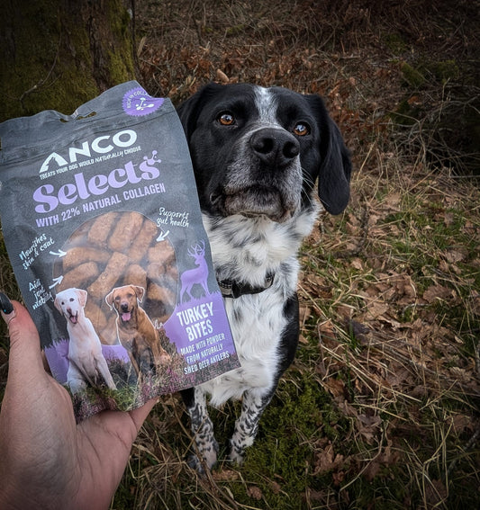 Anco Selects