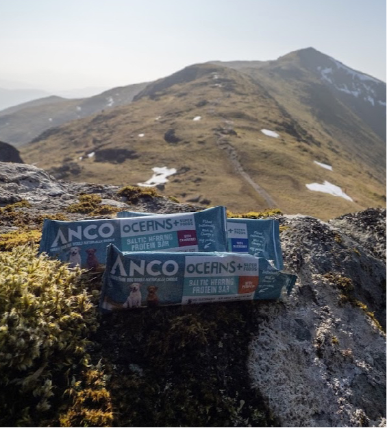 Anco Oceans+ Protein Bars
