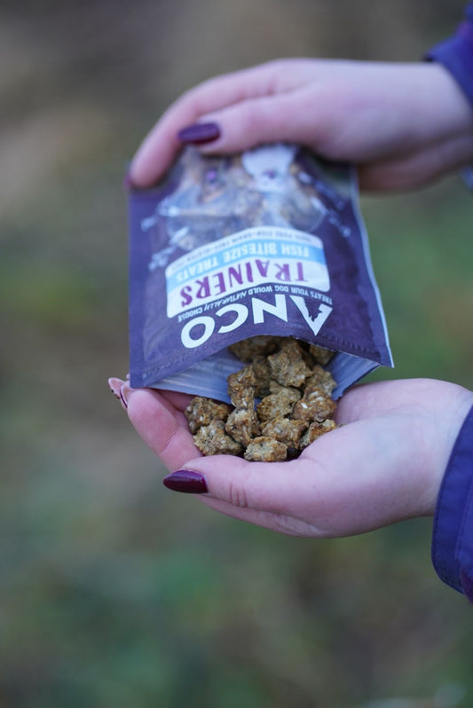 Anco Training Treats