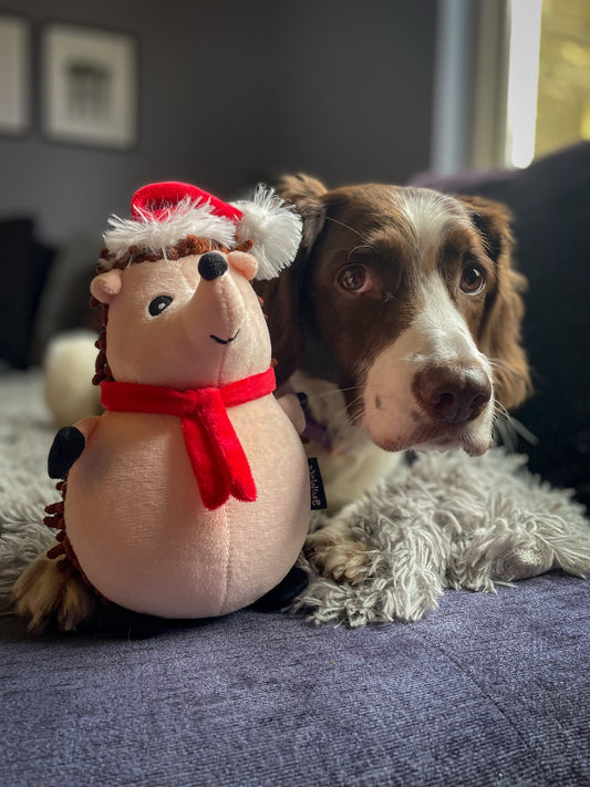 Christmas Plush Noodle Toy