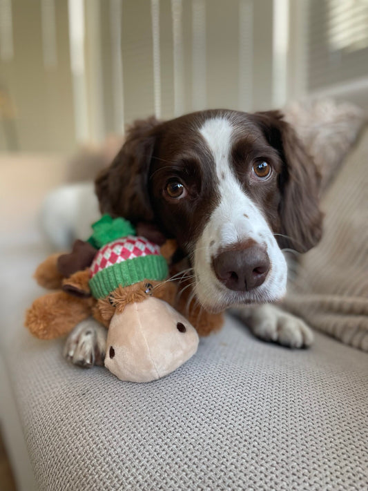 Kong Christmas Cozie™ Reindeer image 0