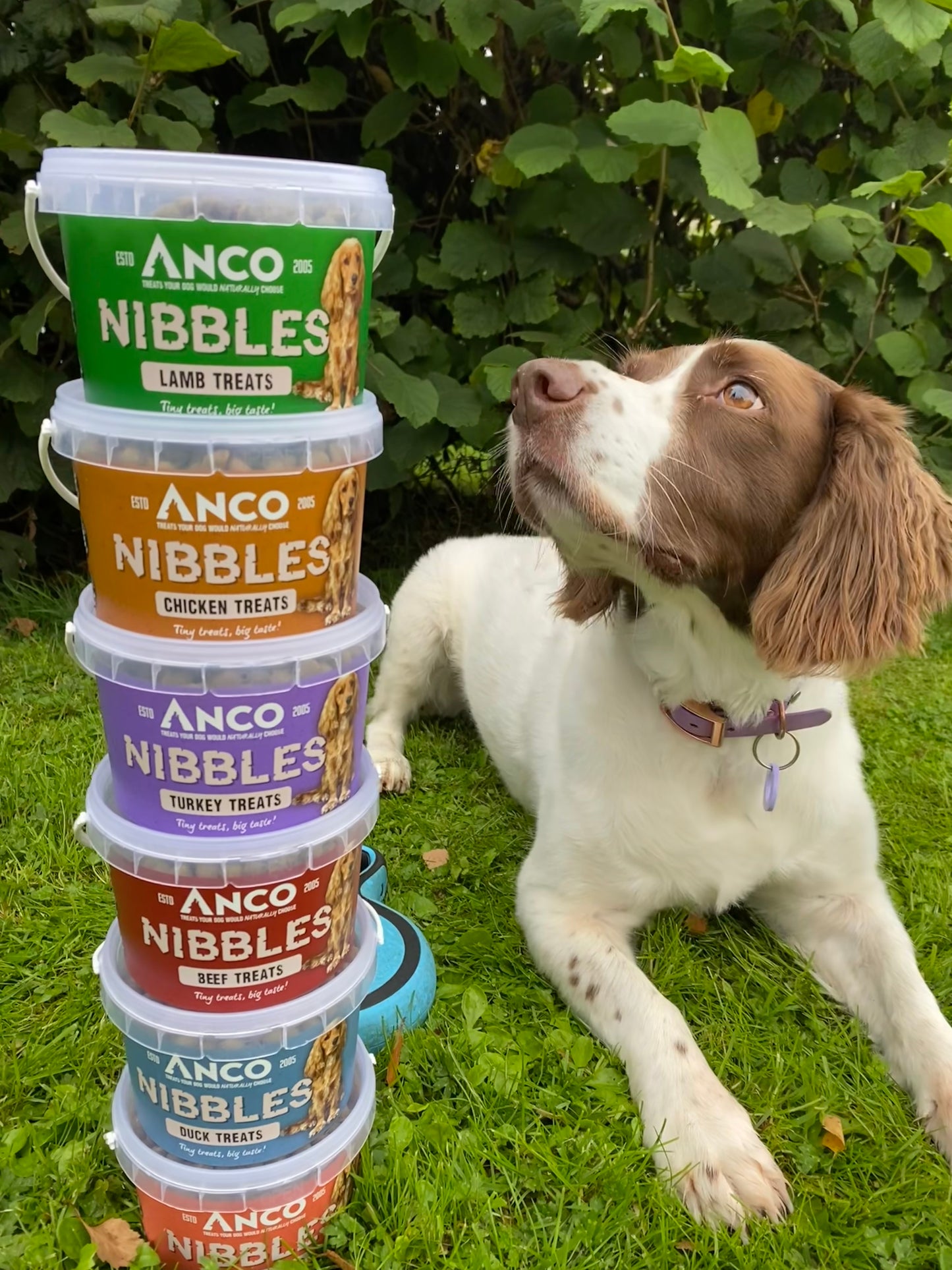 Anco Nibbles