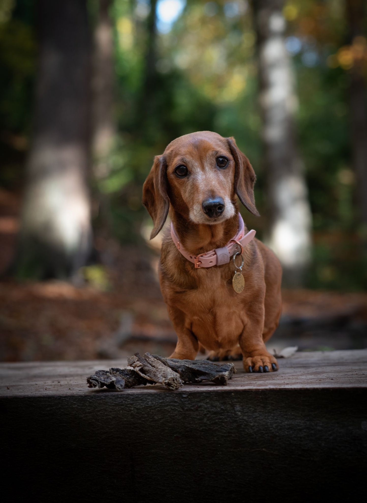 JR Pet Products Beef Tripe Sticks