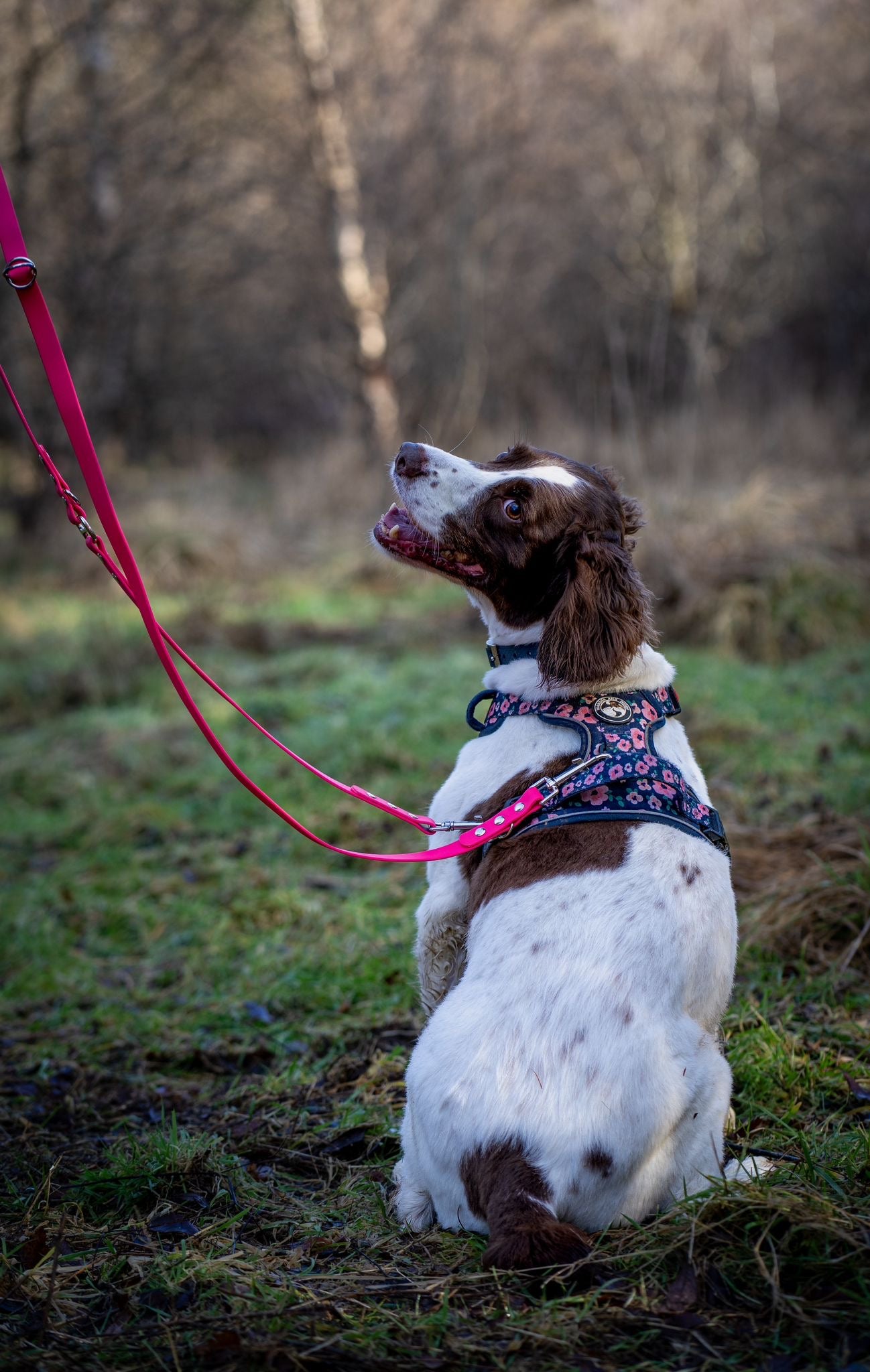 BioThane® Multiway Lead (19mm)