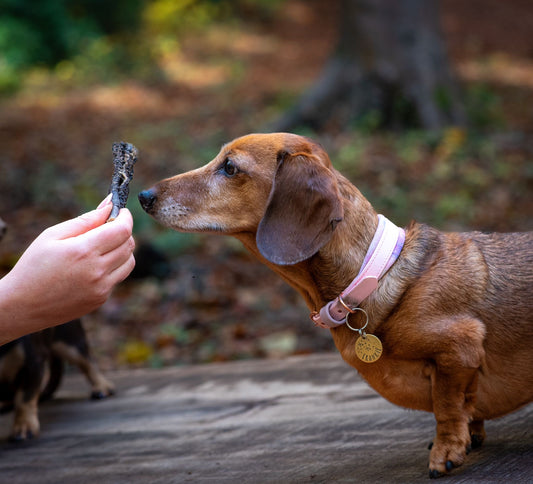 JR Pet Products Beef Tripe Sticks
