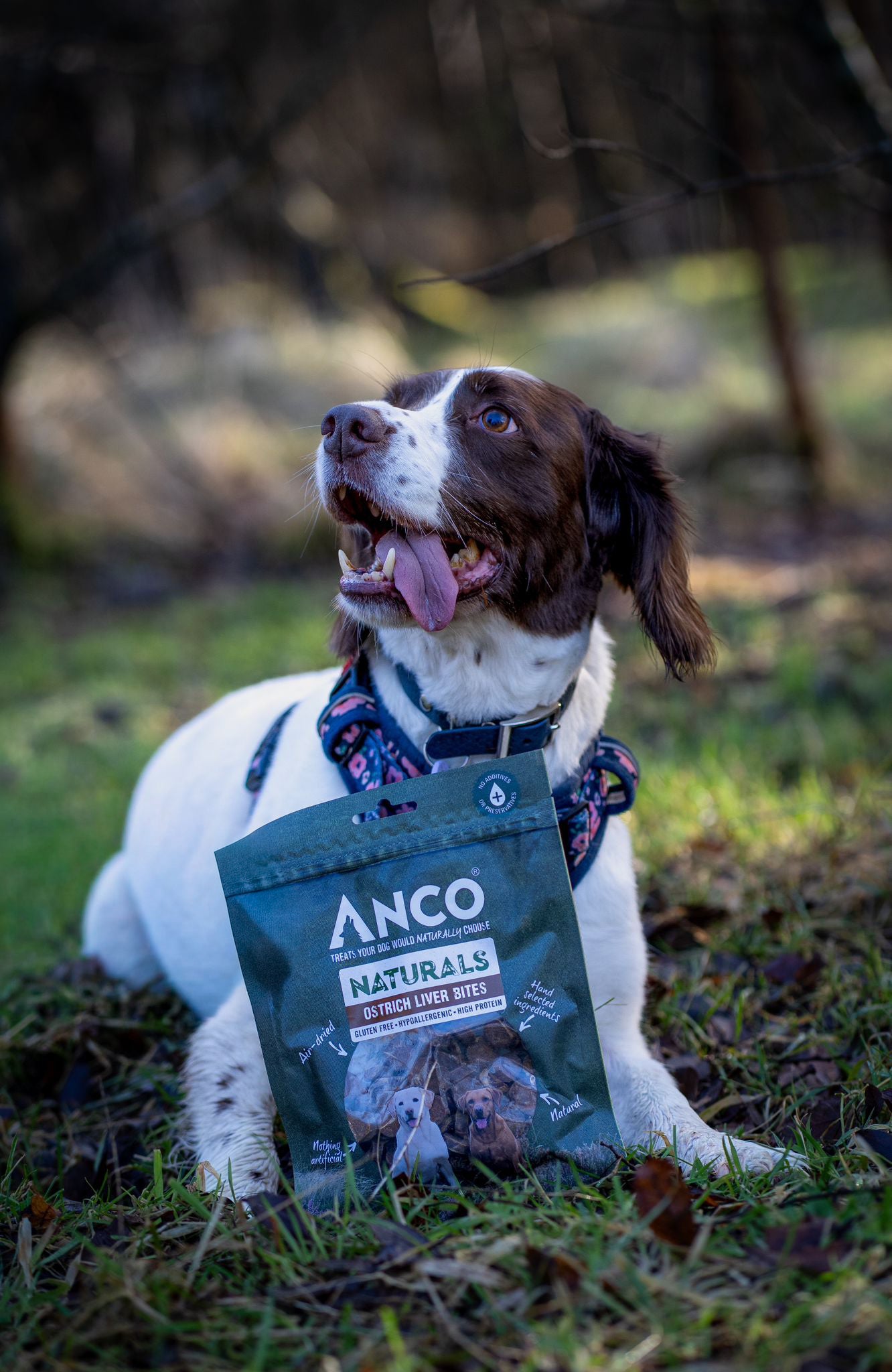 Anco Ostrich Liver Bites