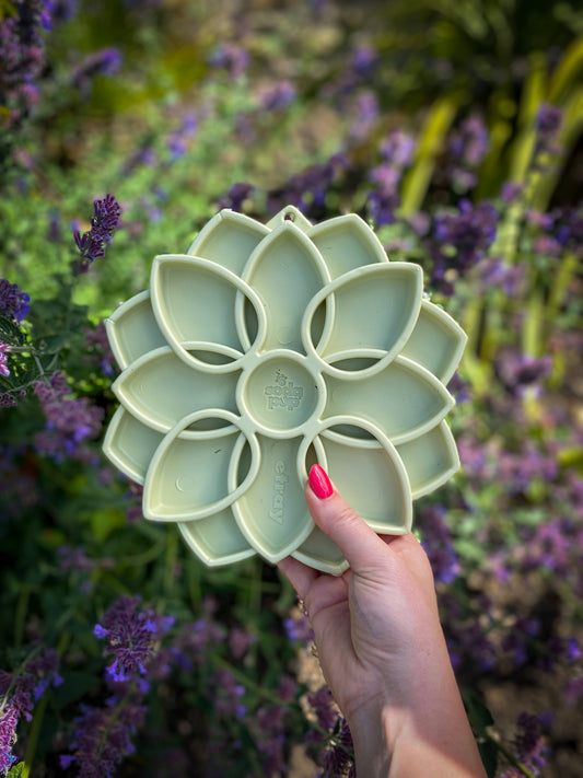 SodaPup Mandala Softie