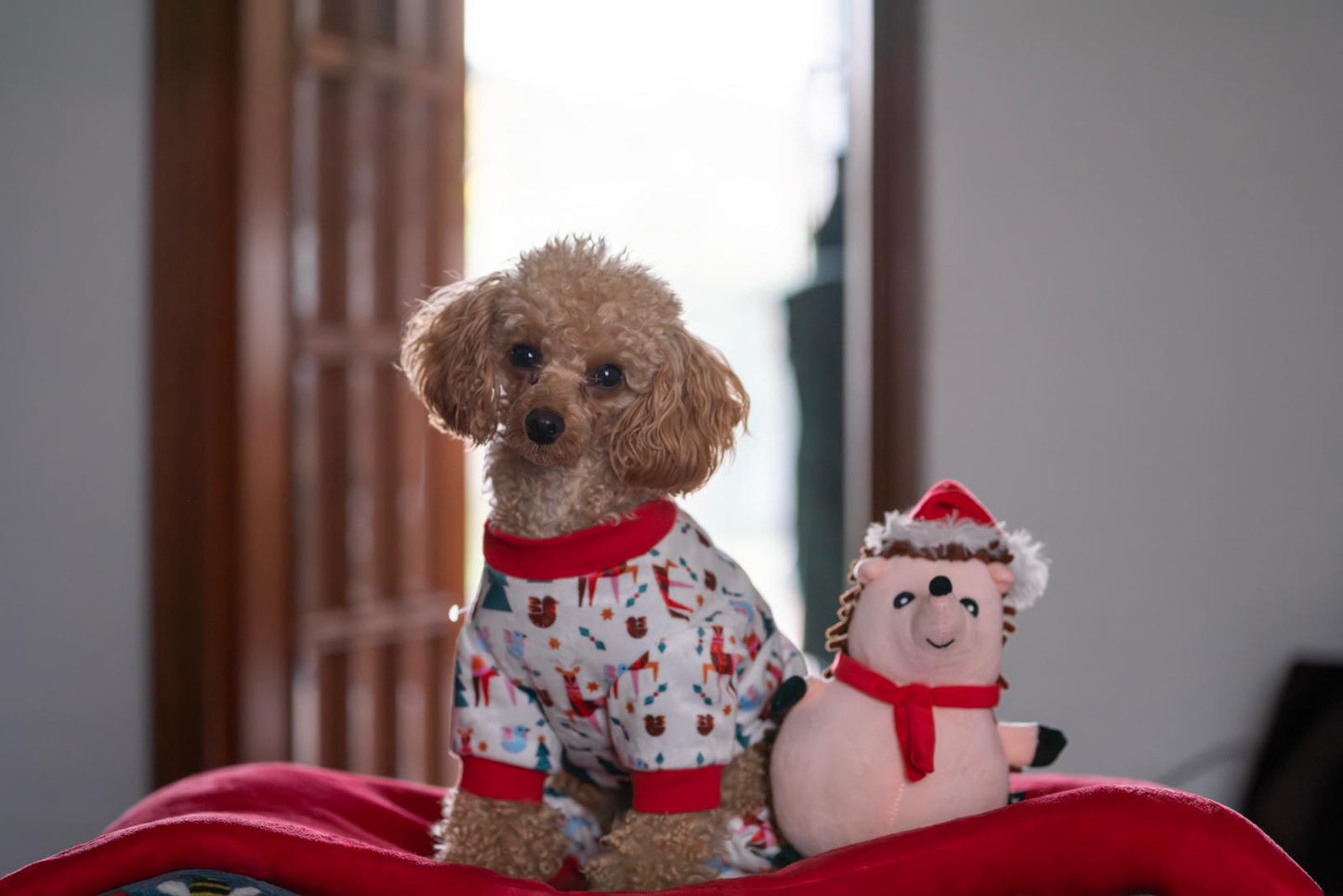 Christmas Plush Noodle Toy