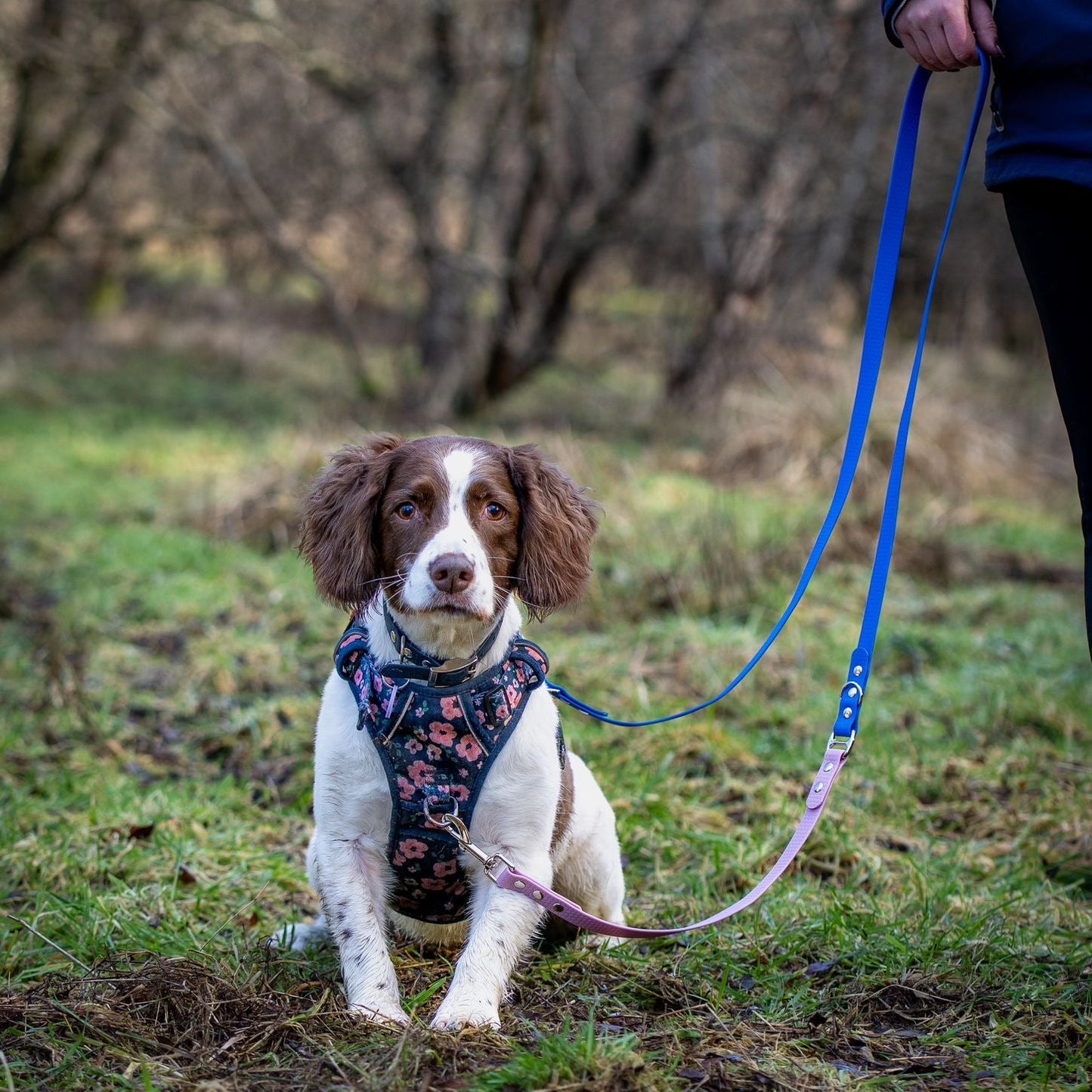 Hexa Duallie Multiway Lead