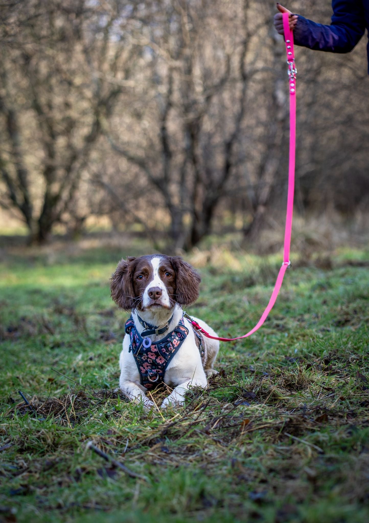 BioThane® Multiway Lead (19mm)