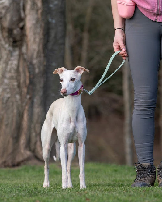 BioThane® Traffic Handles (19mm)