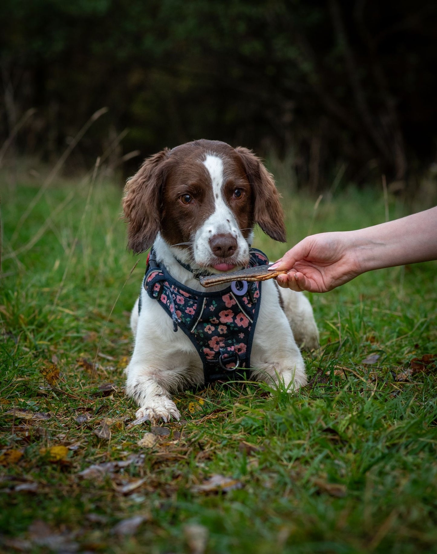 Salmon Skin Flatties