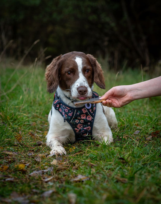 Salmon Skin Flatties