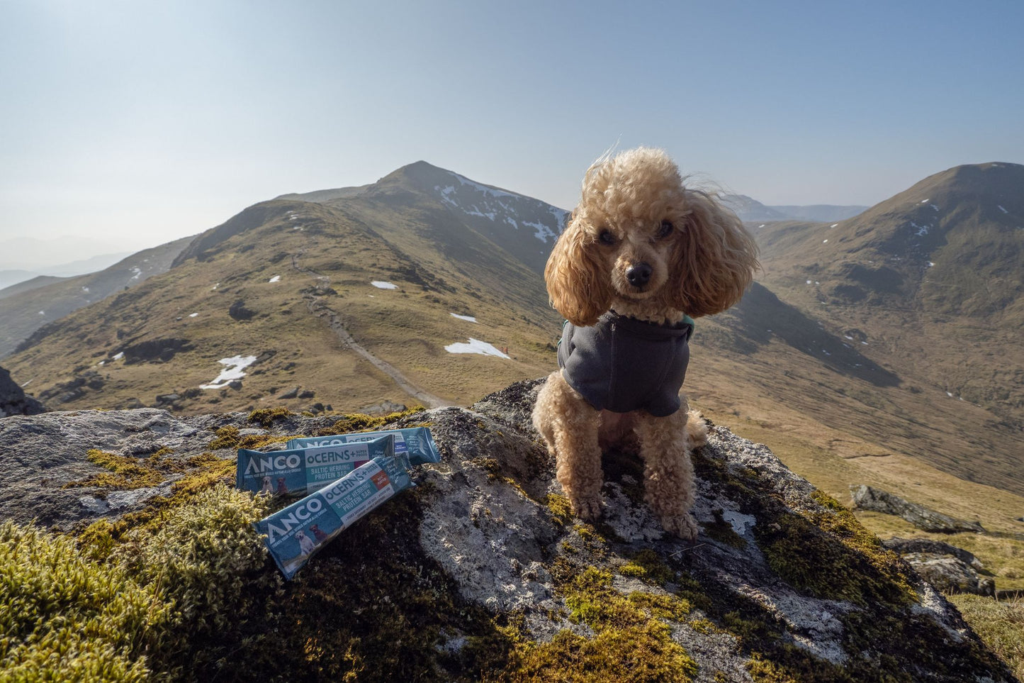 Anco Oceans+ Protein Bars