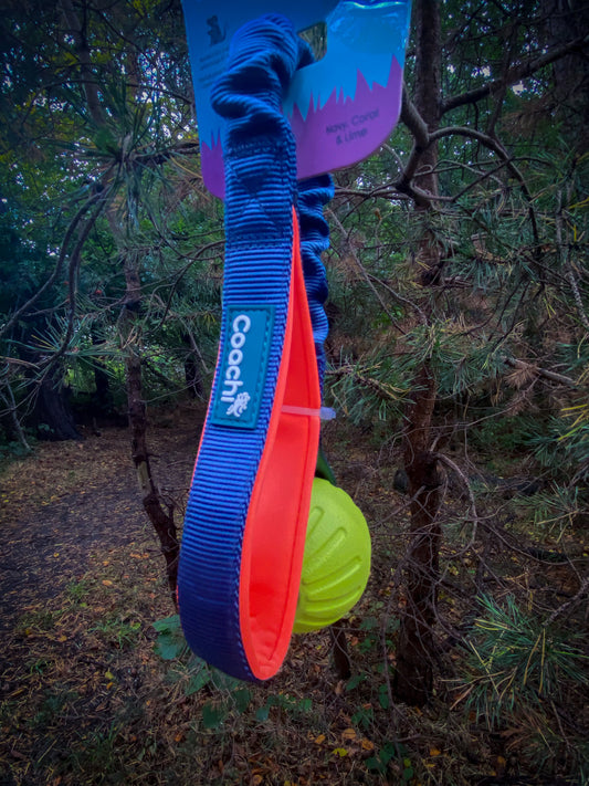 Coachi Tuggi Ball