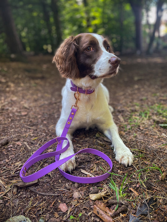 BioThane® Collar and Lead Sets (19mm)